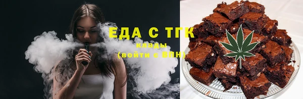 мдпв Богородицк