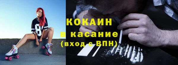 мдпв Богородицк