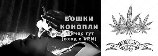 мдпв Богородицк
