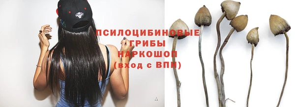 мдпв Богородицк