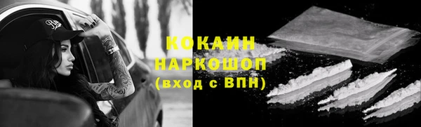 мдпв Богородицк