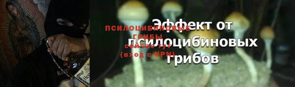 мескалин Богородск