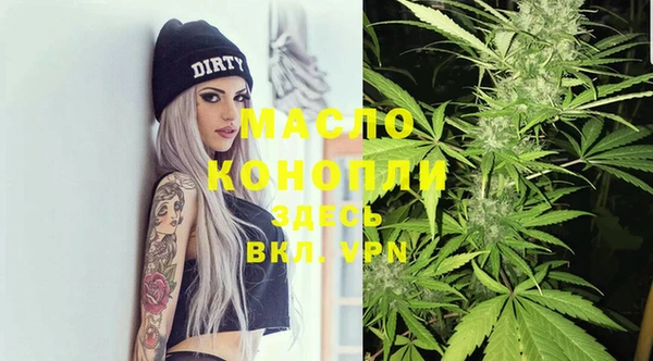 мдпв Богородицк