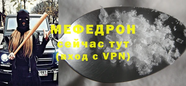 мдпв Богородицк