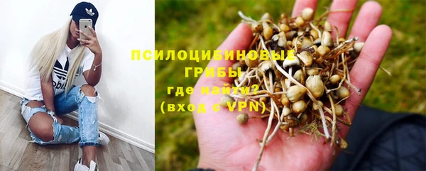 мескалин Богородск